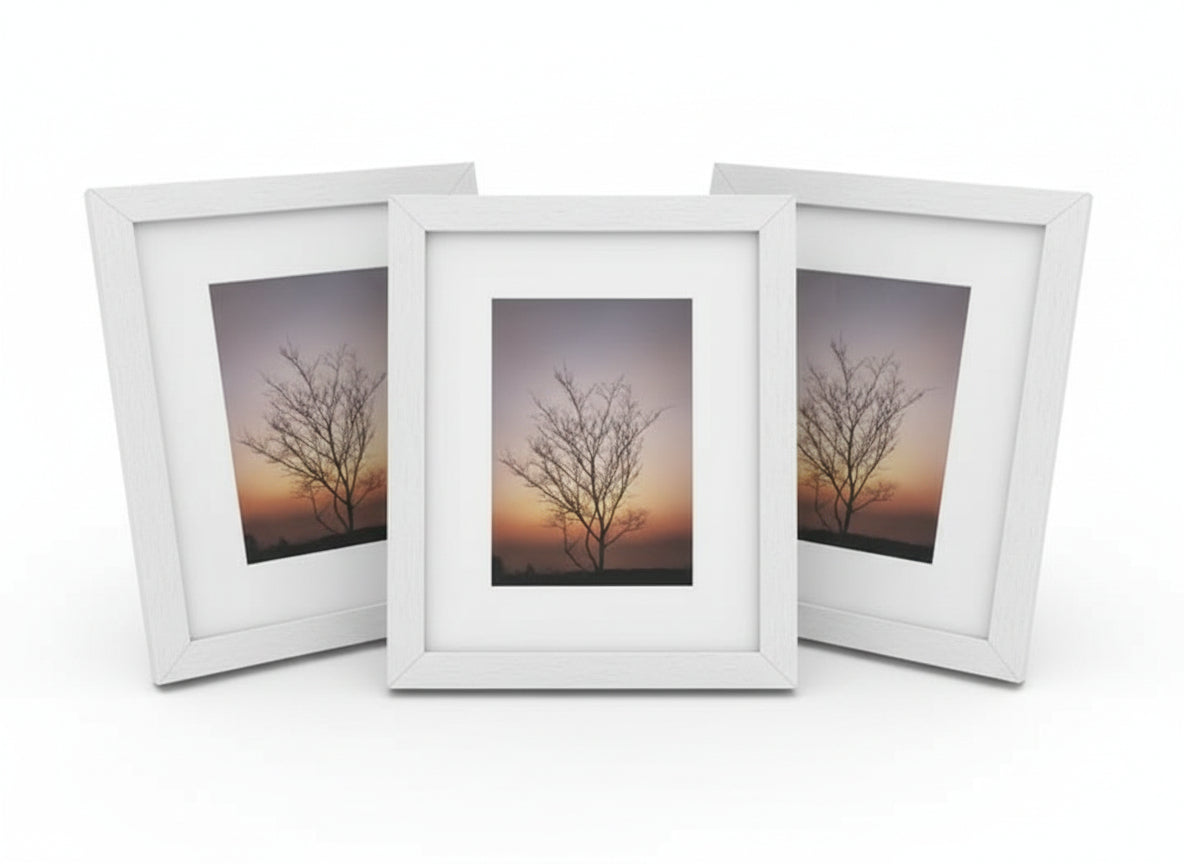 Fotorámeček stojací - bříza